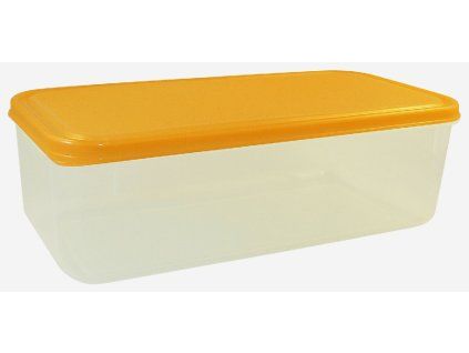 box  1,70l FRESH 25x12x8cm, plast