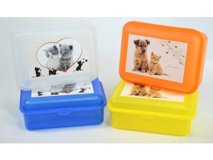 box  1,50l, svačina, MAZLÍČI-friends, 18x13x7cm, plast
