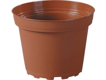 květ.  d 6cm CLASSIC TOD/leh, 20 kusů