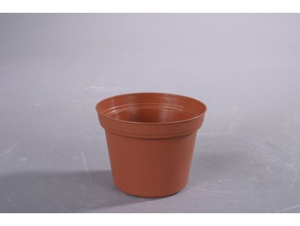 květ.  d10cm PREMIUM VCG/leh 15 kusů