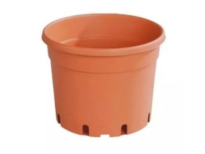 květ.  d21cm CLASSIC MCI /dez+EAN/4,0l TER