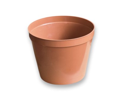 květ. d20cm Standard TER
