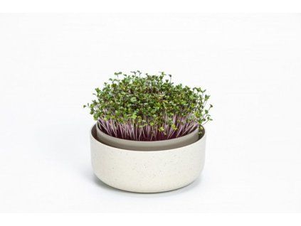 miska ke klíčení d16x 7,7cm, SLON.KOST, MICROGREENS, plast