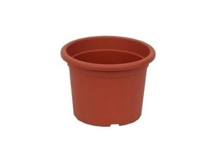 obal d15cm Narcis TER