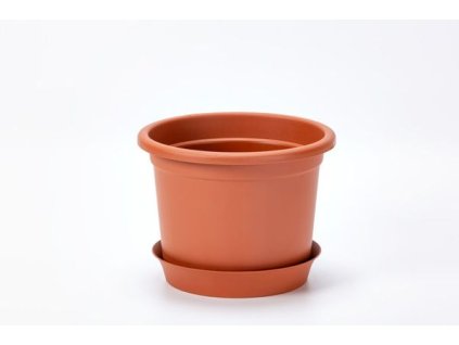 obal d17cm Narcis TER