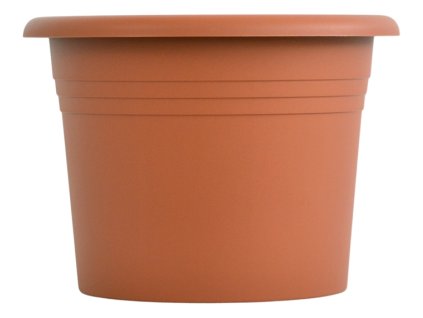 obal d30cm Narcis TER