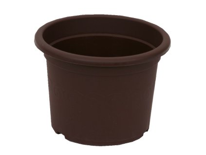 obal d30cm Narcis Čoko