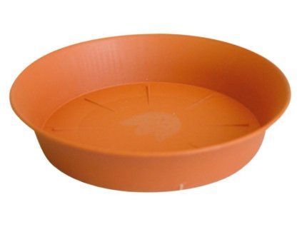 podmiska d14cm TER TULIPÁN