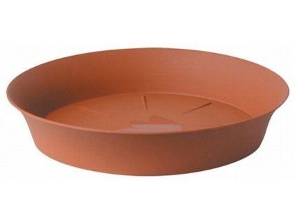 podmiska d28cm TER TULIPÁN