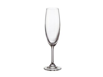 sklen. 220ml, 6ks, KLARA/SYLVIA šamp.flétna