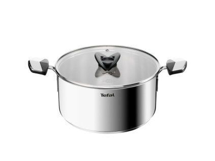 hrnec d24cm+PO, EMOTION+, indukce, TEFAL, NR