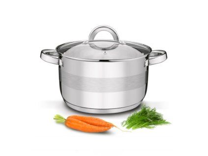 hrnec d26cm+PO sklo, ( 7,5l) ROGER, indukce, NR