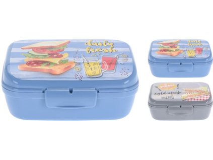 box  1,00l, 15,5x11,5x7,5cm, potisk, 2barvy dětský, plast
