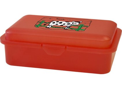 Plastový svačinový box 16x11x5,5cm potisk