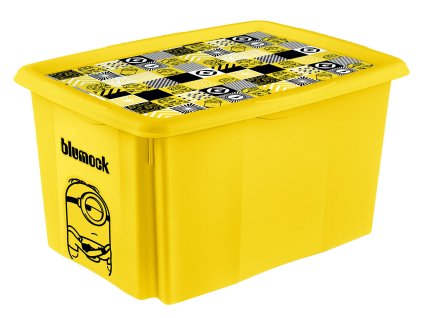 box úložný MIMONI 55,5x40x30cm,45l,s víkem PH mix barev