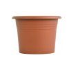 obal d21cm Narcis TER